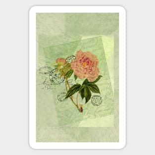 Decoupage peony 2 Sticker